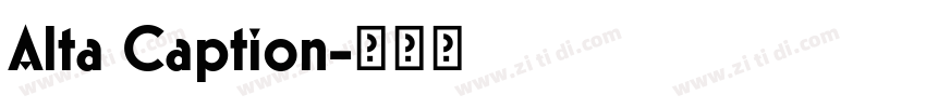 Alta Caption字体转换